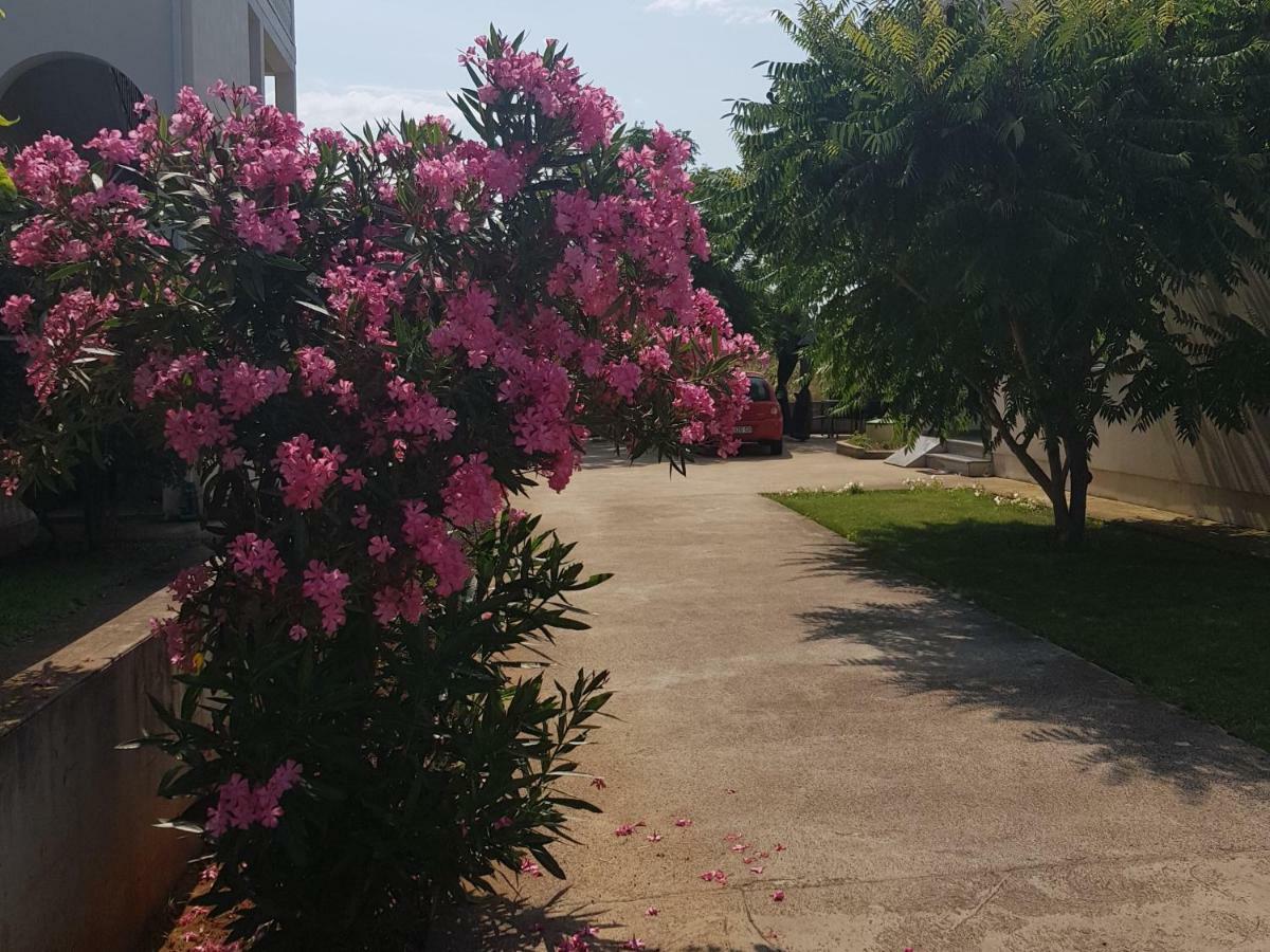 Sunset Apartments Zaton Zaton  Ngoại thất bức ảnh